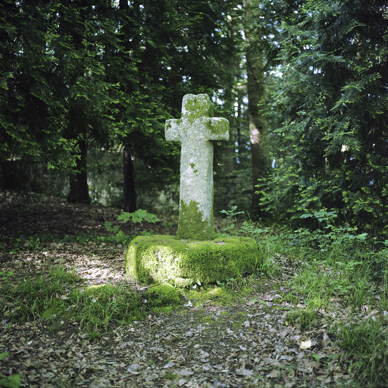 primonial-183 avenue du Gal Patton- Rennes
