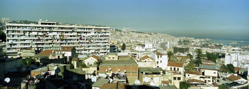 alger031