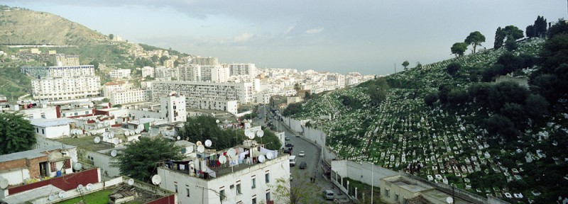 alger039